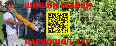 МДПВ Ливны