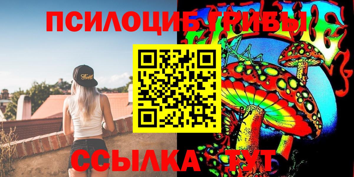 Псилоцибиновые грибы Psilocybine cubensis Элиста