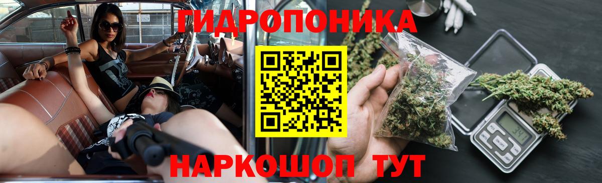 Элиста  Бошки марихуана индика  Конопля VHQ  Конопля Ganja  Вход с VPN 